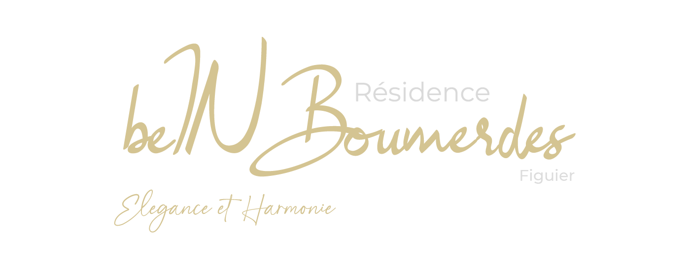 Logo Résidence beIN Boumerdes